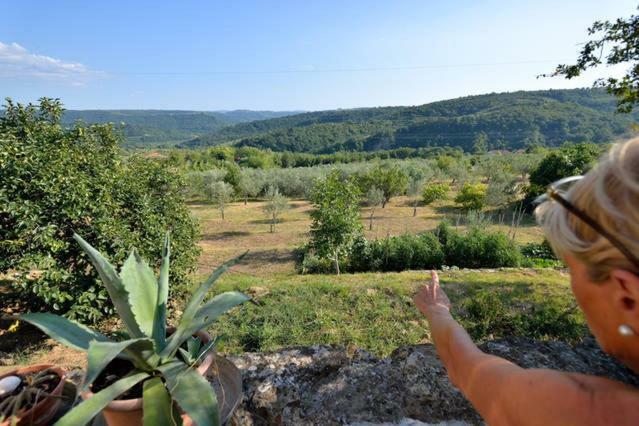イゾラ Cozy Istrian Houseゲストハウス エクステリア 写真