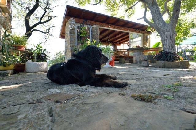 イゾラ Cozy Istrian Houseゲストハウス エクステリア 写真