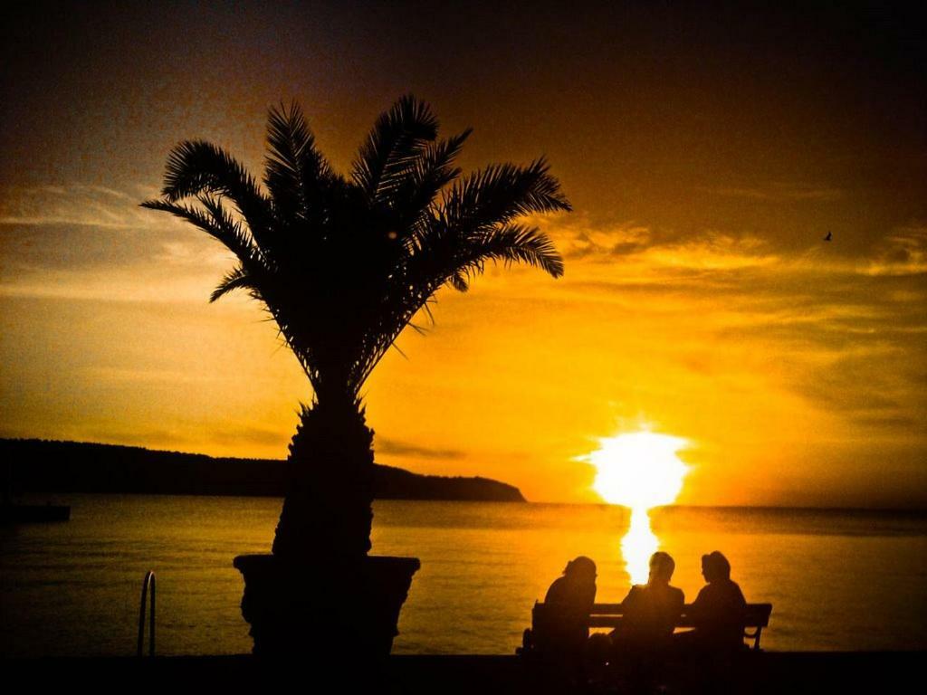 イゾラ Cozy Istrian Houseゲストハウス エクステリア 写真