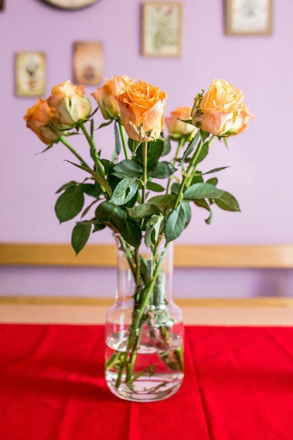 イゾラ Cozy Istrian Houseゲストハウス エクステリア 写真
