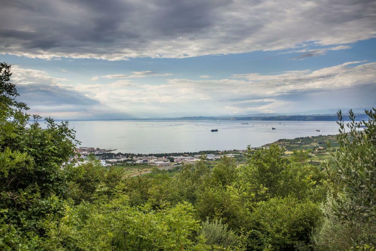 イゾラ Cozy Istrian Houseゲストハウス エクステリア 写真