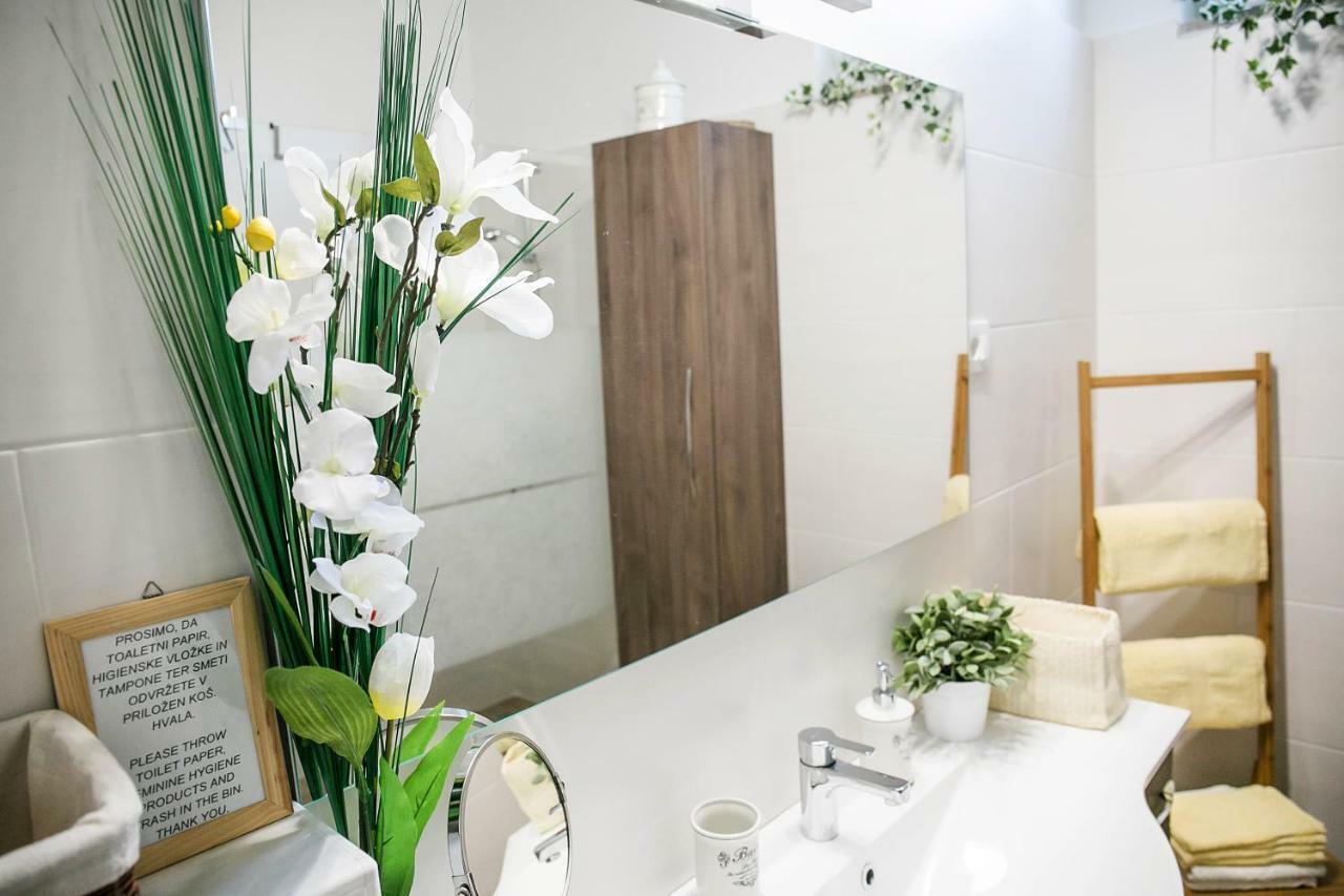 イゾラ Cozy Istrian Houseゲストハウス エクステリア 写真