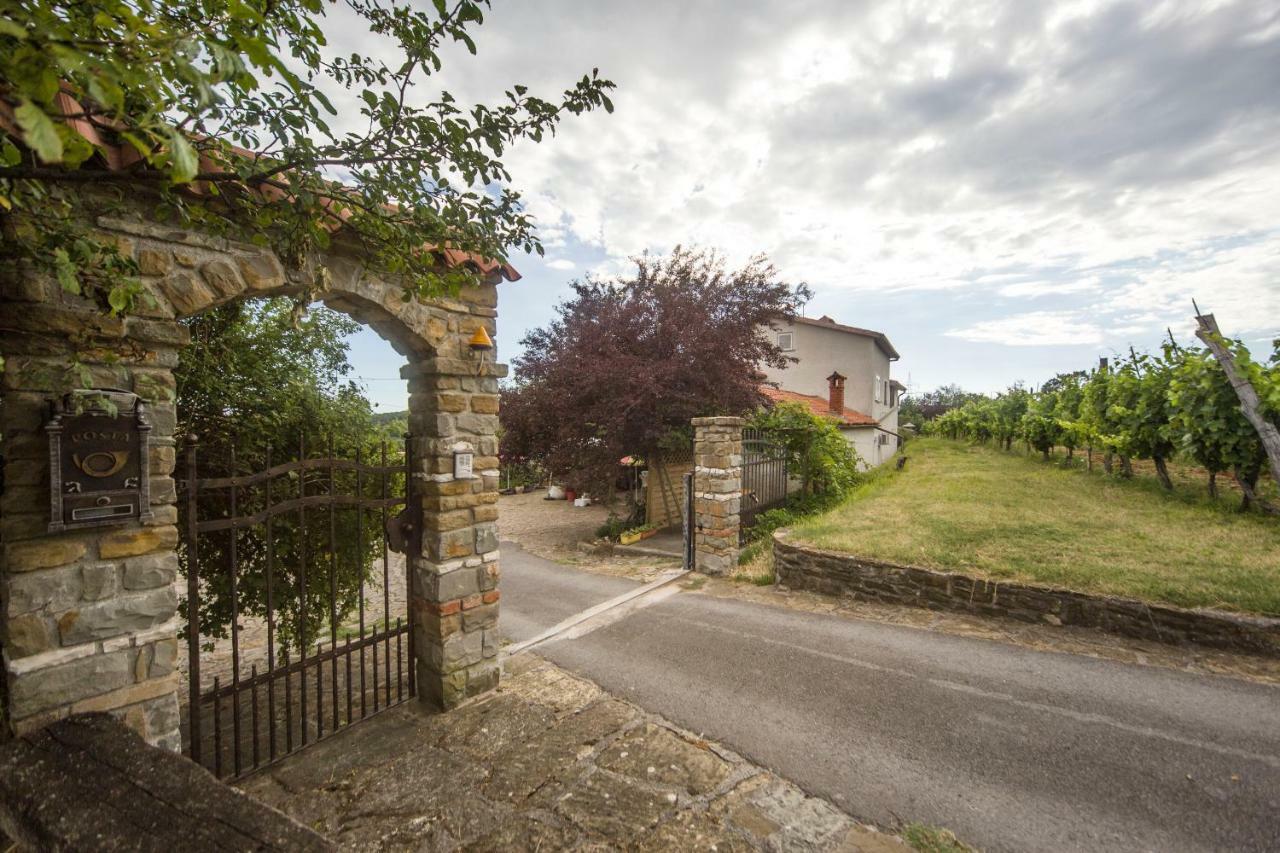 イゾラ Cozy Istrian Houseゲストハウス エクステリア 写真
