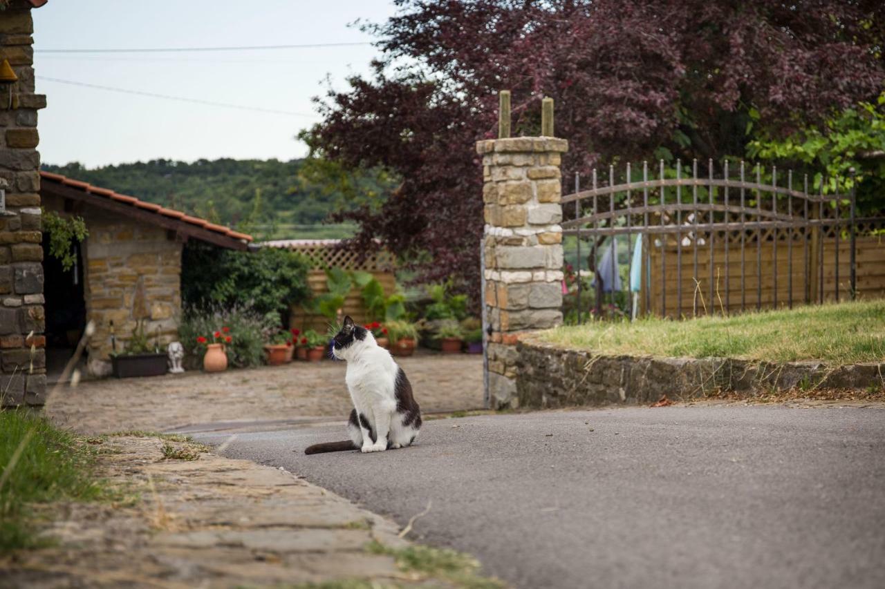 イゾラ Cozy Istrian Houseゲストハウス エクステリア 写真