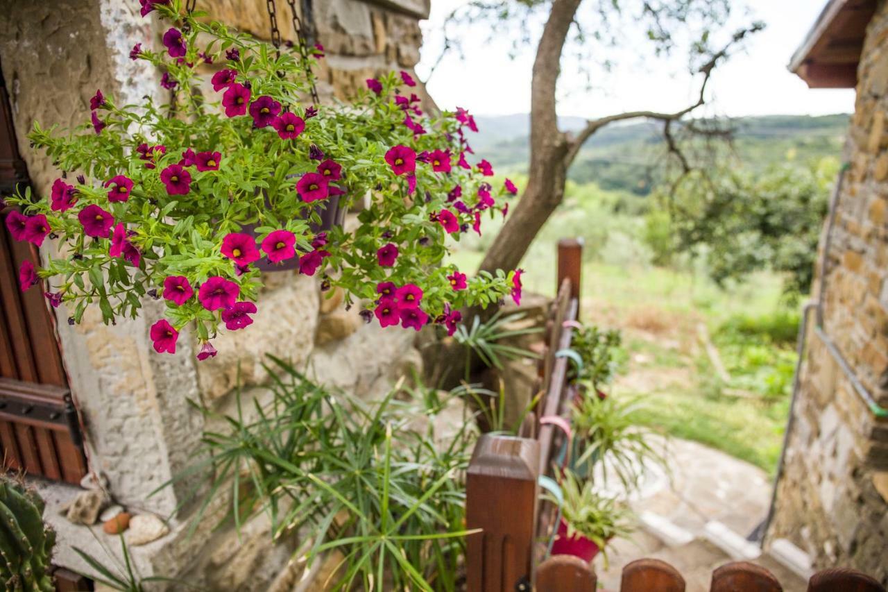 イゾラ Cozy Istrian Houseゲストハウス エクステリア 写真