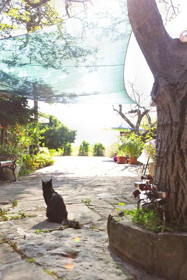 イゾラ Cozy Istrian Houseゲストハウス エクステリア 写真