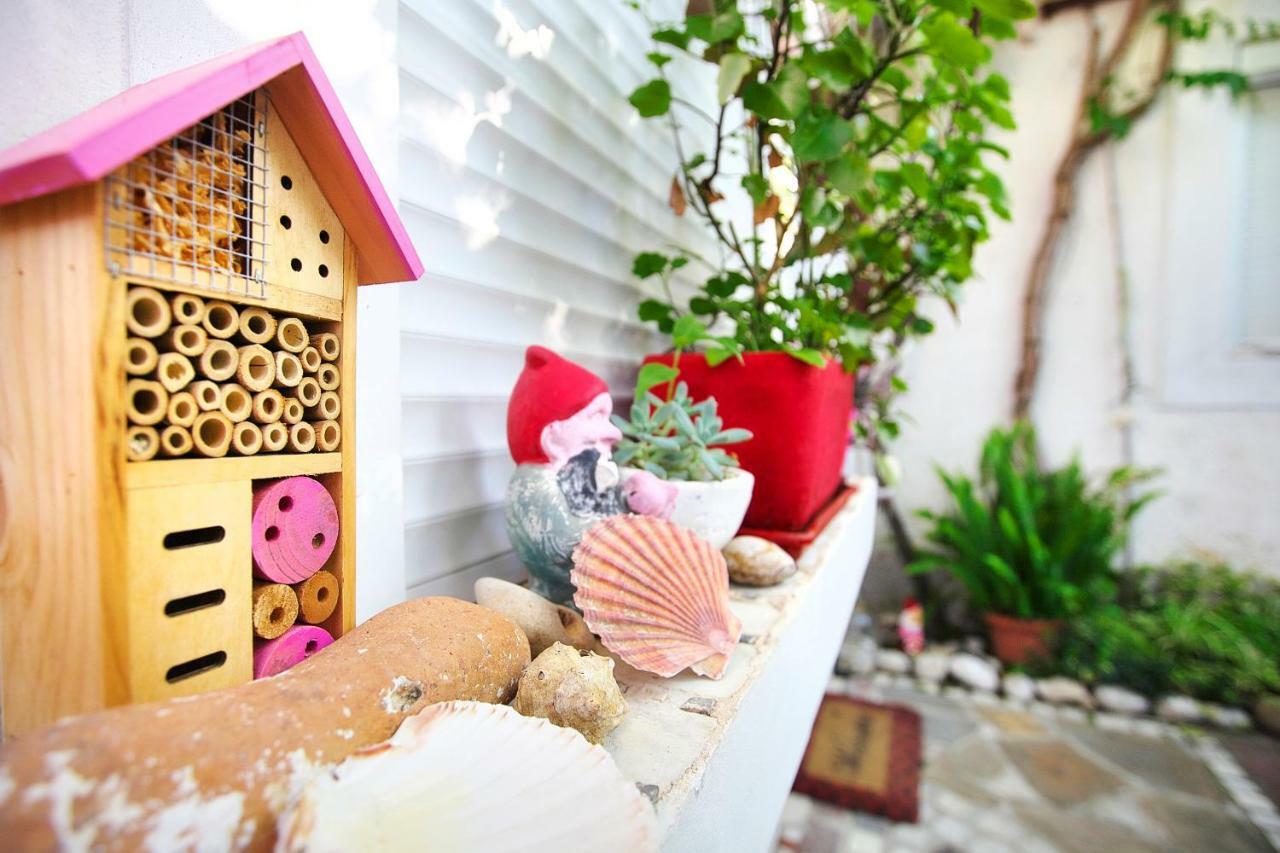 イゾラ Cozy Istrian Houseゲストハウス エクステリア 写真