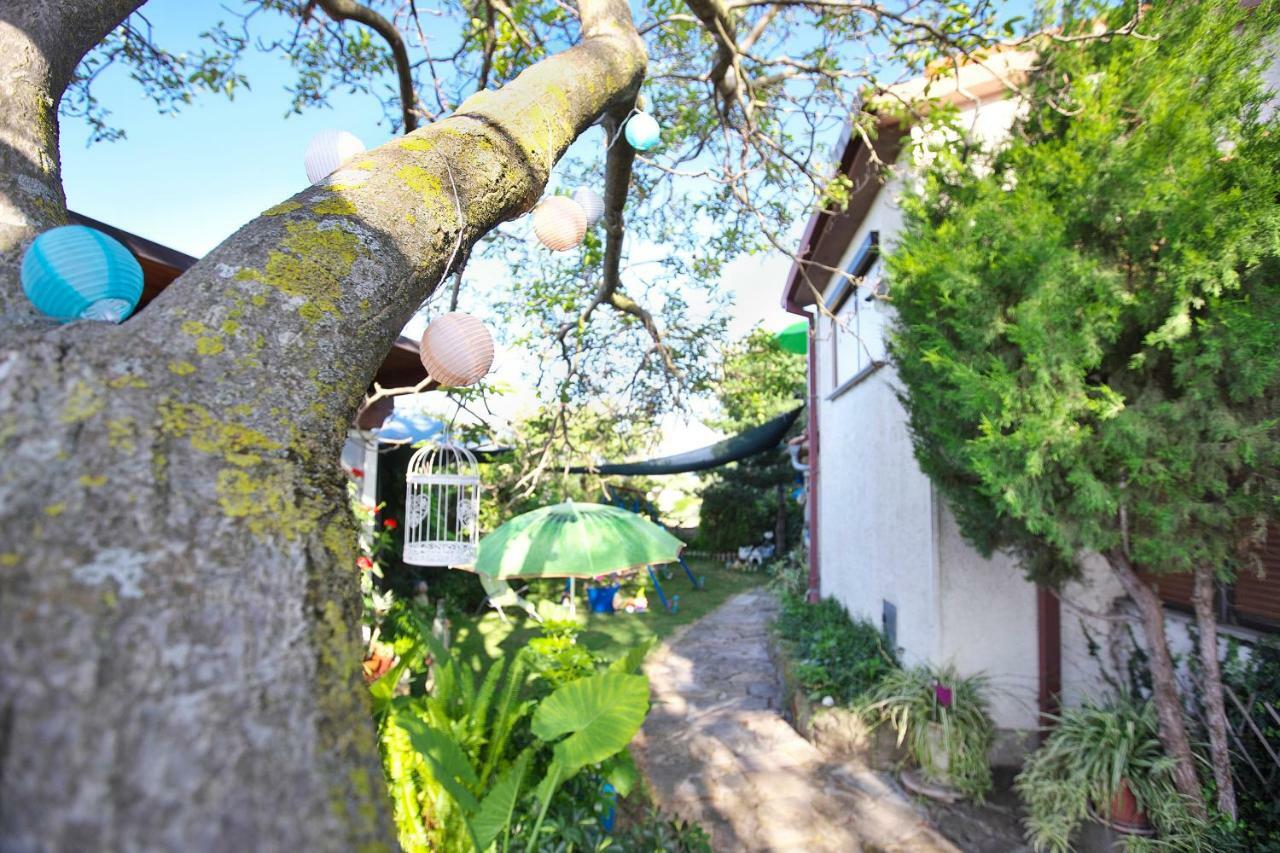 イゾラ Cozy Istrian Houseゲストハウス エクステリア 写真