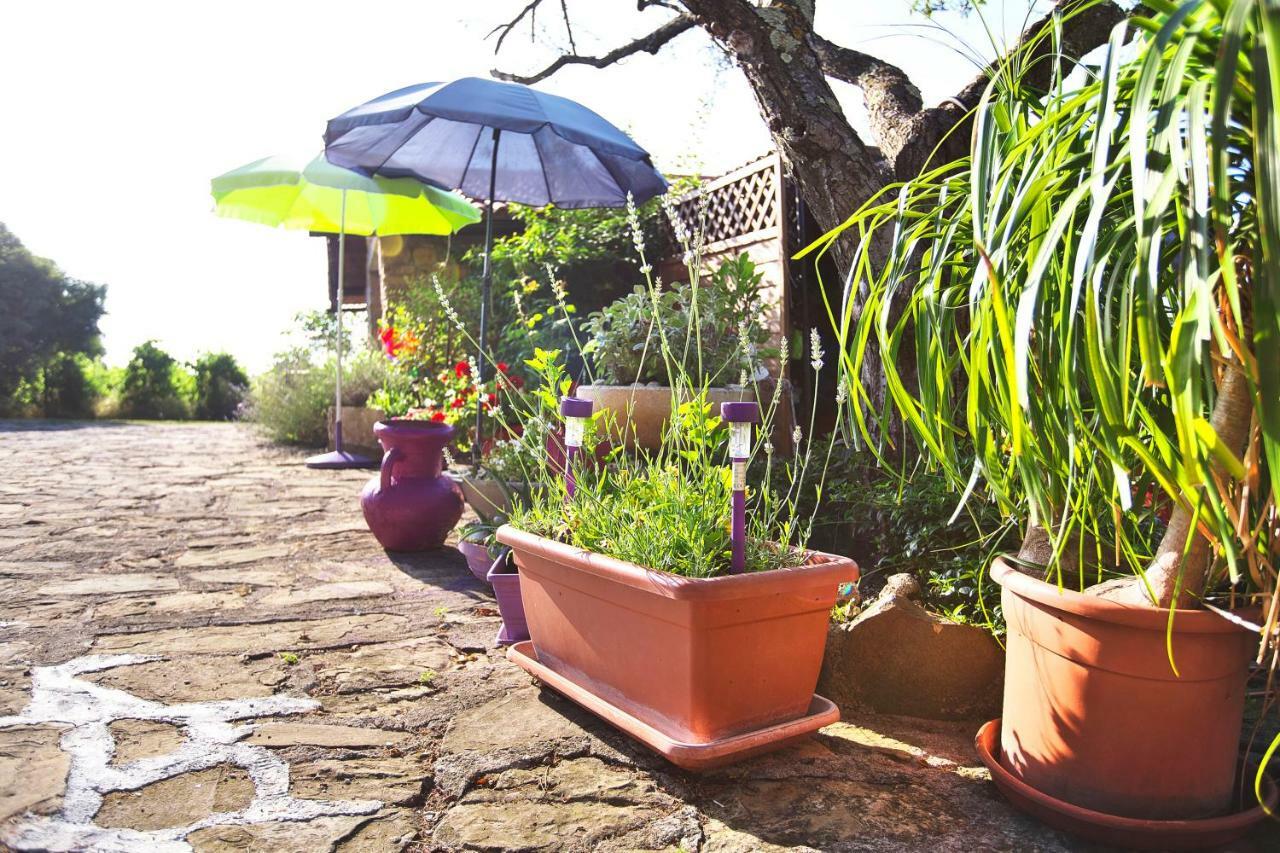 イゾラ Cozy Istrian Houseゲストハウス エクステリア 写真