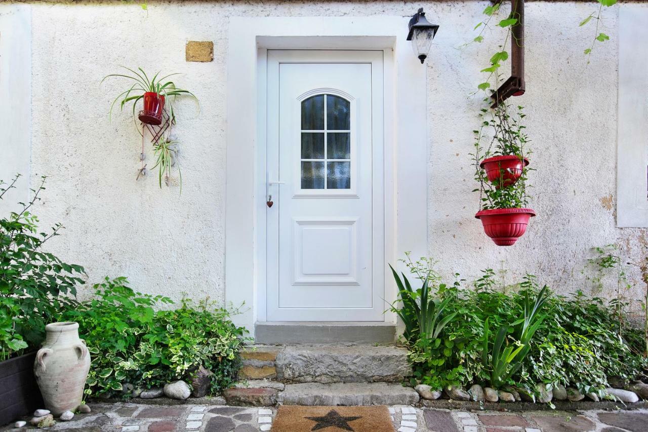 イゾラ Cozy Istrian Houseゲストハウス エクステリア 写真